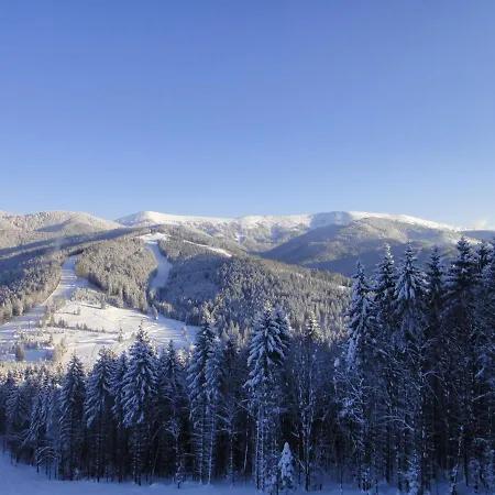 котедж рандеву Bukovel